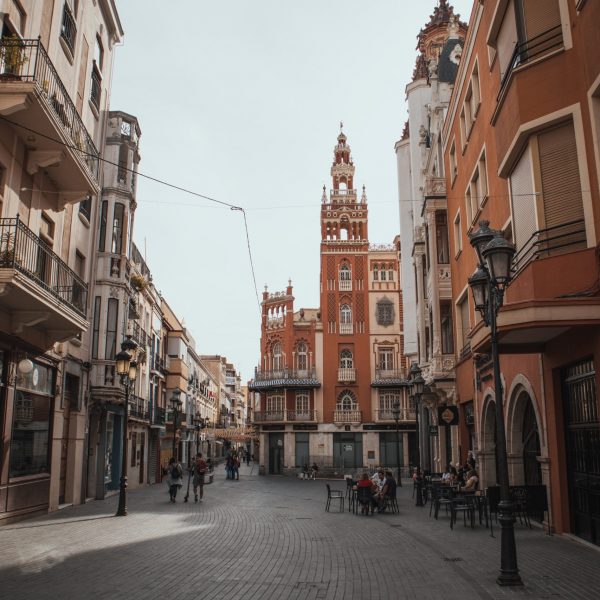 pedro-lemos-pgXcWrbnpgo-unsplash